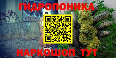 мяу мяу мука Краснознаменск