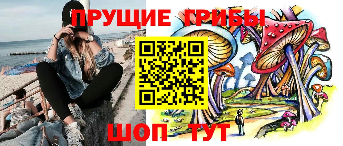 Псилоцибиновые грибы мухоморы Елизово