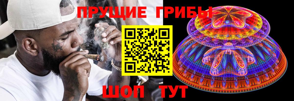 Псилоцибиновые грибы Psilocybine cubensis  Псилоцибиновые грибы Cubensis  Елизово  Вход с VPN 